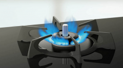 <b>燃氣灶的火焰不是藍色的，正常嗎？</b>